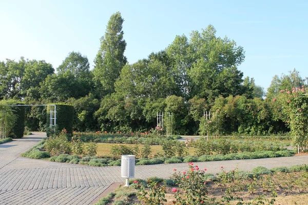 Sommerlandschaft Auf Dem Petrin Hill Prag Tschechische Republik — Stockfoto