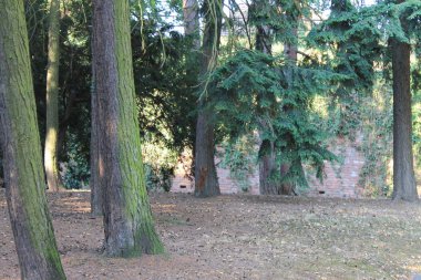 Vysehrad Prag Çek Cumhuriyeti 'nde Park