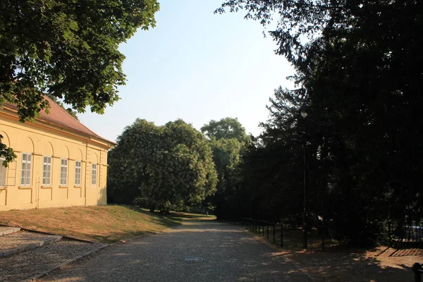 布拉格捷克 Petrin 山上的夏季景观 — 图库照片