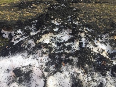 Arabanın kar yağışı üzerine yerleşmiş, havayı kirleten