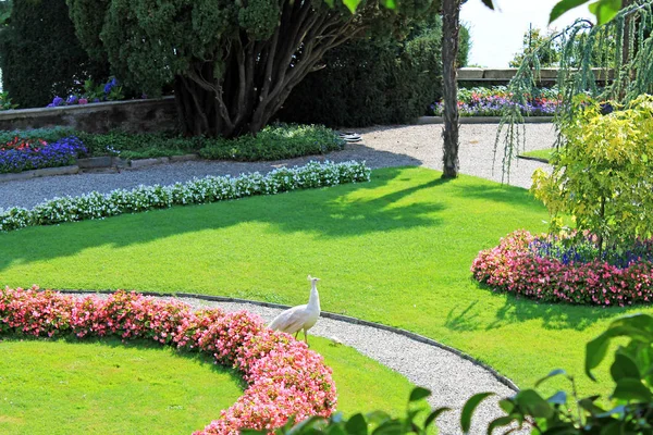 Diseño Del Paisaje Isla Isola Bella Lago Maggiore Italia — Foto de Stock