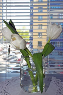 Cam kavanozda üç lale ve pencerede güneşlikler var.