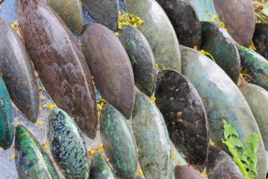 Bahçede dekoratif renkli taşlar ve çim en yakın arka plan