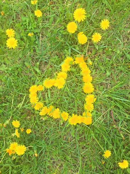 Srdce Žlutých Dandeliů Zelené Trávě — Stock fotografie