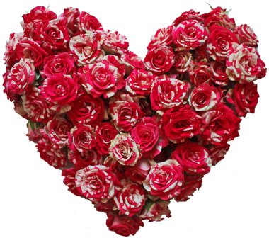 İzole küçük güllerin kalbi