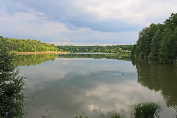 Hermoso Parque Natural Día Claro Verano Con Árboles Verdes — Foto de Stock