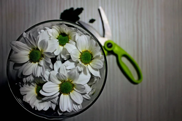 Renkli Bir Arka Planda Çiçekler Ile Hala Hayat — Stok fotoğraf