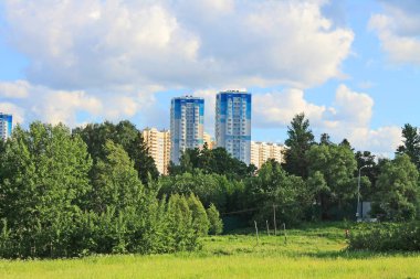 Yeşil ağaçlar ile açık bir yaz gününde güzel doğal park