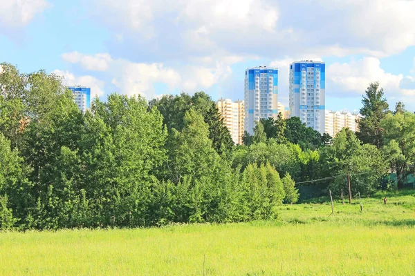 Krásný Přírodní Park Jasného Letního Dne Zelenými Stromy — Stock fotografie