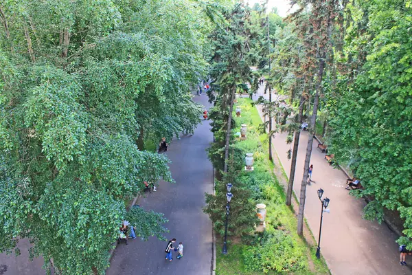 Prachtig Natuur Park Een Heldere Zomerdag Met Groene Bomen — Stockfoto