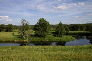 Berrak bir Güneşli günde çayır ve nehir ile Yaz manzara