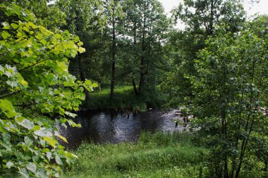 Nehir ve yeşil yaprak döken ağaçlar ile parlak yaz manzara