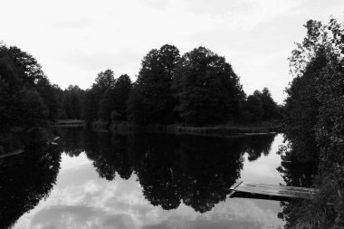 Nehir ve yeşil yaprak döken ağaçlar ile parlak yaz manzara