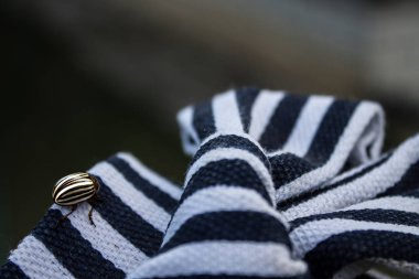 Çizgili Colorado böceği bir tekstil çizgili yay üzerinde