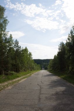 Ormandaki yol bir yıllık günü temizler.