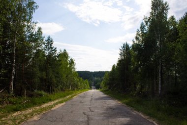 Ormandaki yol bir yıllık günü temizler.