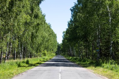 Ormandaki yol bir yıllık günü temizler.