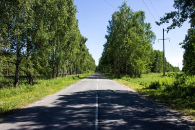 Ormandaki yol bir yıllık günü temizler.