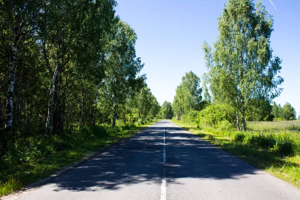 Ormandaki yol bir yıllık günü temizler.