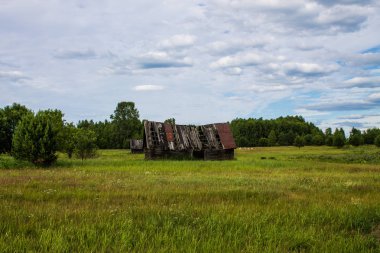Yeşil bir alanda eski çökmüş ahşap ev