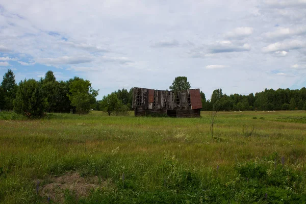 緑の野原に古い崩壊した木造家屋 — ストック写真