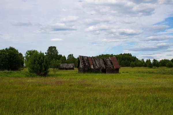 Old Collapsed Wooden House Green Field Royalty Free Stock Images