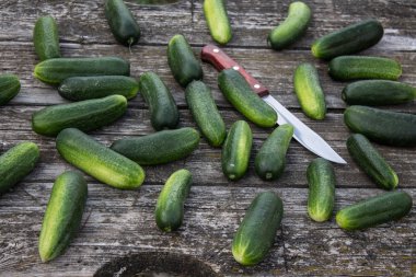 Tahta masadaki taze salatalıklar