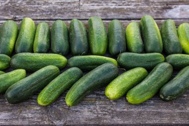 Tahta masadaki taze salatalıklar