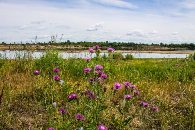 Murom için Nehir Oka, Rusya bulutlu yaz günü
