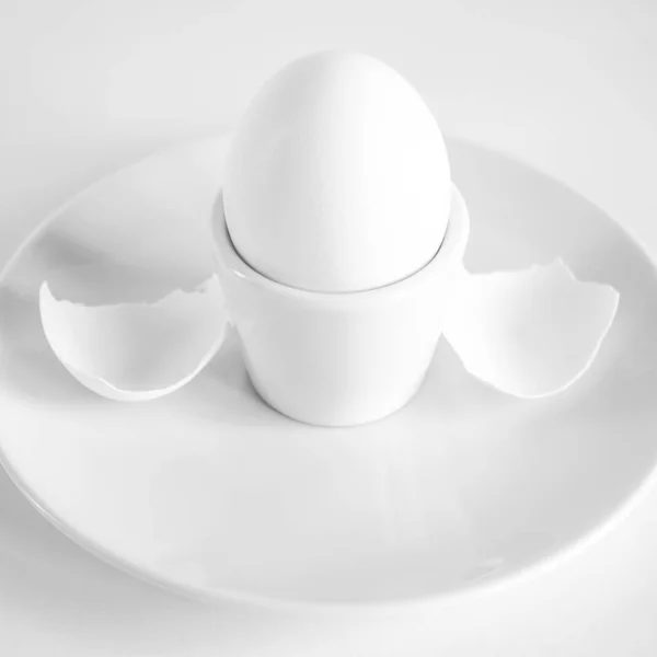 Černobílý Život Celým Vajíčkem Skořápkou Vejcem — Stock fotografie