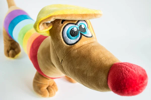 Rainbow plush dog close up