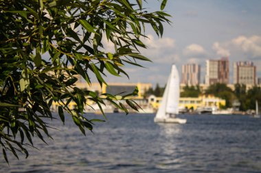 Moskova/Rusya-Temmuz, 27, 2019: bulutlu bir yaz gününde Khimki rezervuar üzerinde beyaz yelkenleri ile Yelkenli tekne