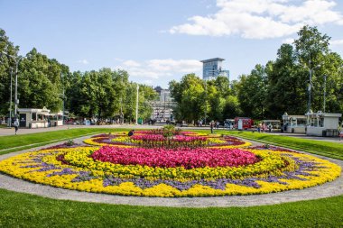 Bir yaz gününde Moskova, Rusya'da halka açık bir Park Sokolniki büyük güzel çiçek yatak