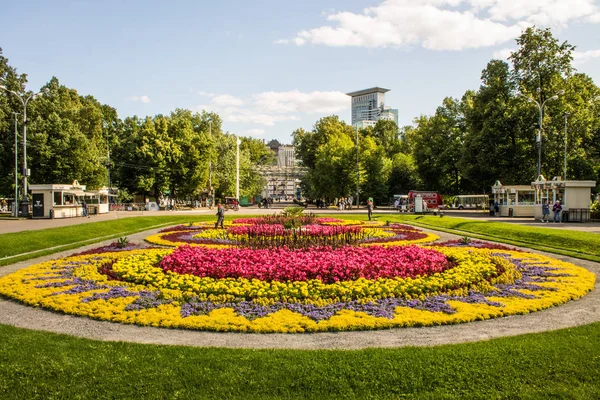 Grande Belíssimo Canteiro Flores Parque Público Sokolniki Moscou Rússia Dia — Fotografia de Stock