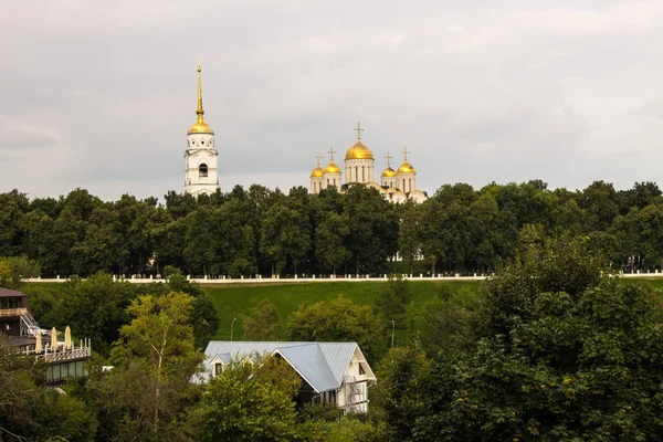 Vista Catedral Dormición Árboles Verdes Vladimir Rusia Día Verano — Foto de Stock