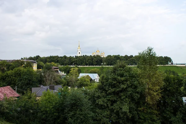 Vista Catedral Dormición Árboles Verdes Vladimir Rusia Día Verano — Foto de Stock
