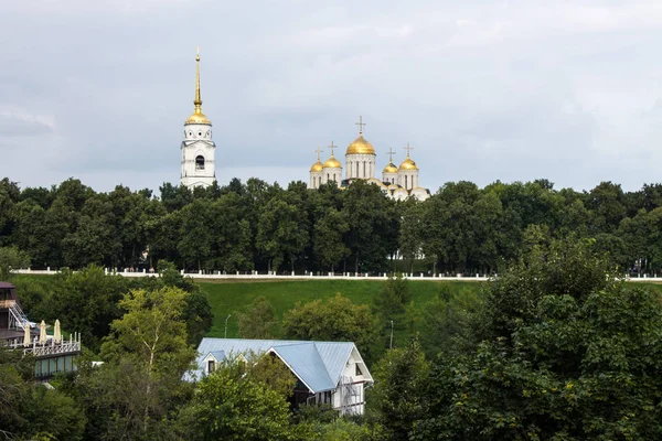 Vista Catedral Dormición Árboles Verdes Vladimir Rusia Día Verano — Foto de Stock