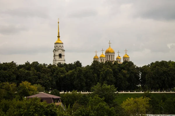 Вид Успенський Собор Зелених Дерев Володимирі Росія Літній День — стокове фото