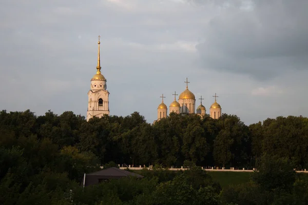 Veduta Della Cattedrale Dormizione Alberi Verdi Vladimir Russia Una Giornata — Foto Stock