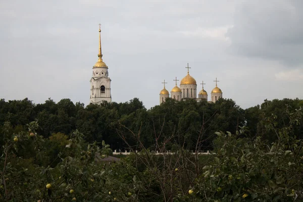 Вид Успенський Собор Зелених Дерев Володимирі Росія Літній День — стокове фото