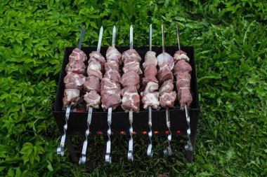 Şişler üzerinde taze domuz eti parçaları kömürler yakın çekim ile ızgara üzerine koydu