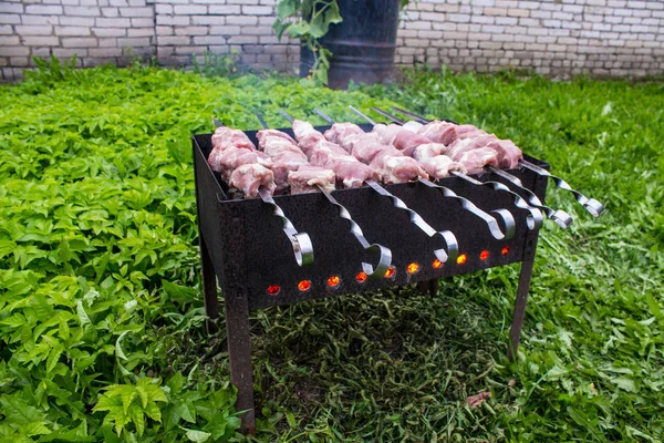 Trozos Carne Cerdo Fresco Brochetas Puestas Parrilla Con Carbones Cerca — Foto de Stock