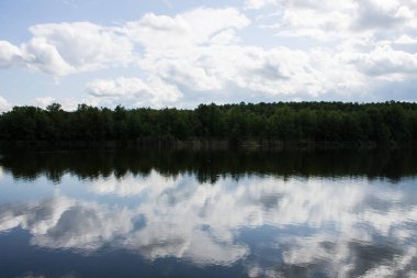 Rusya'da yeşil ağaçlar ve yansımaları ile Yaz manzara
