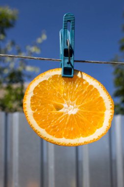Clothespins ile clothesline üzerinde Portakal ve limon dilimleri