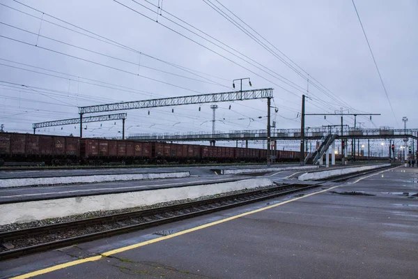 Murom Vladimir Bölgesi Rusya Ağustos 2019 Tren Istasyonunda Yük Trenleri — Stok fotoğraf