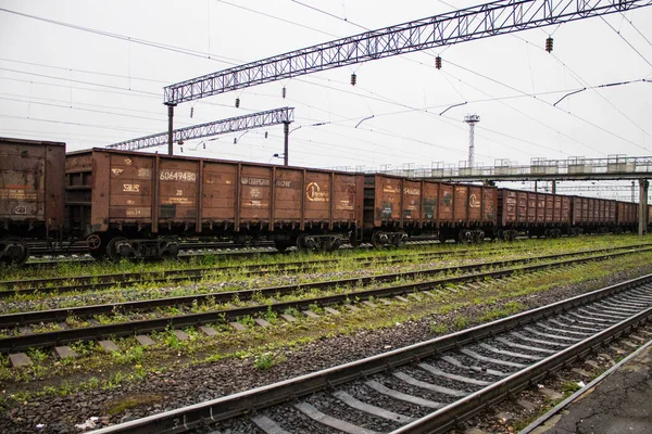 ムロム ウラジミール地域 ロシア 2019年8月11日 鉄道駅で貨物列車 — ストック写真