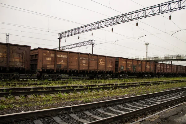 Murom Vladimir Régió Oroszország 2019 Augusztus Tehervonatok Vasútállomásra — Stock Fotó