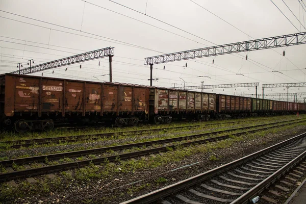 ムロム ウラジミール地域 ロシア 2019年8月11日 鉄道駅で貨物列車 — ストック写真