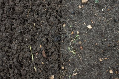 Bahçede gevşek siyah toprak yakın çekim