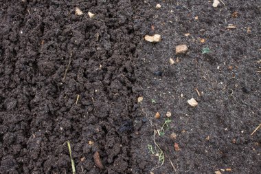 Bahçede gevşek siyah toprak yakın çekim